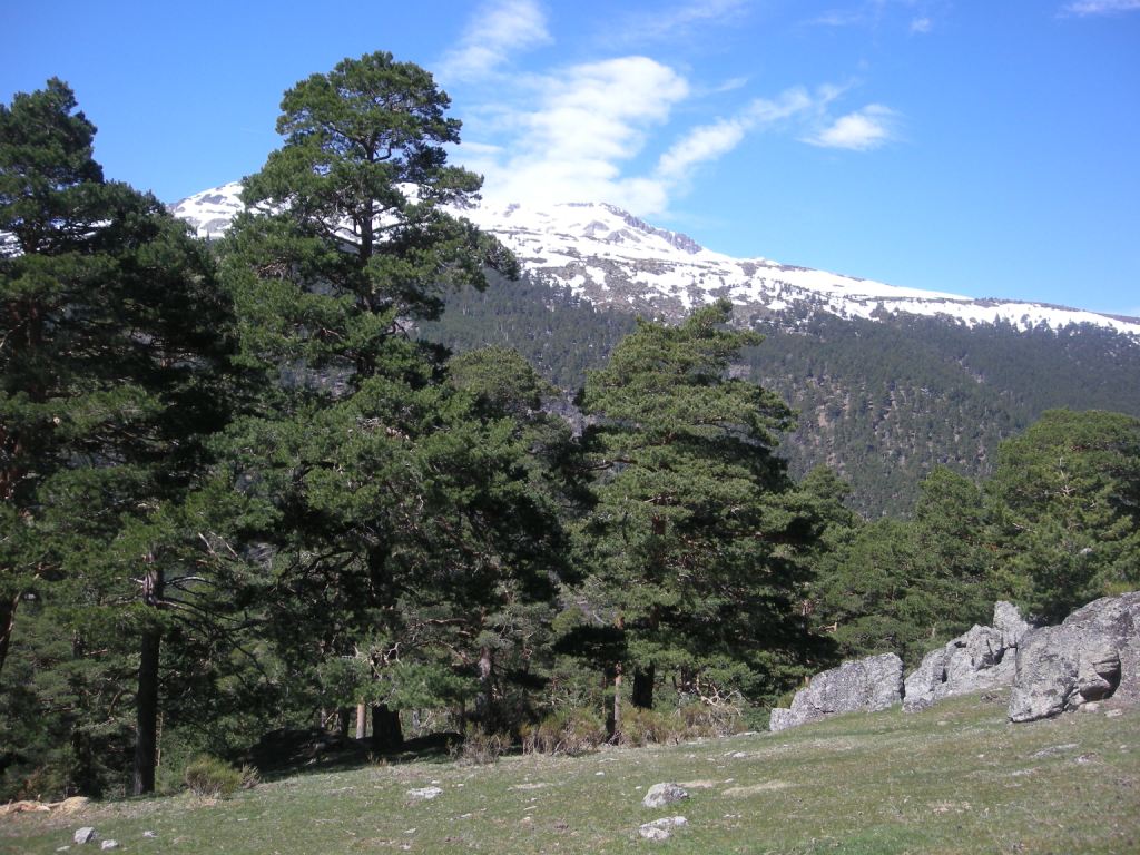 iberian mountains